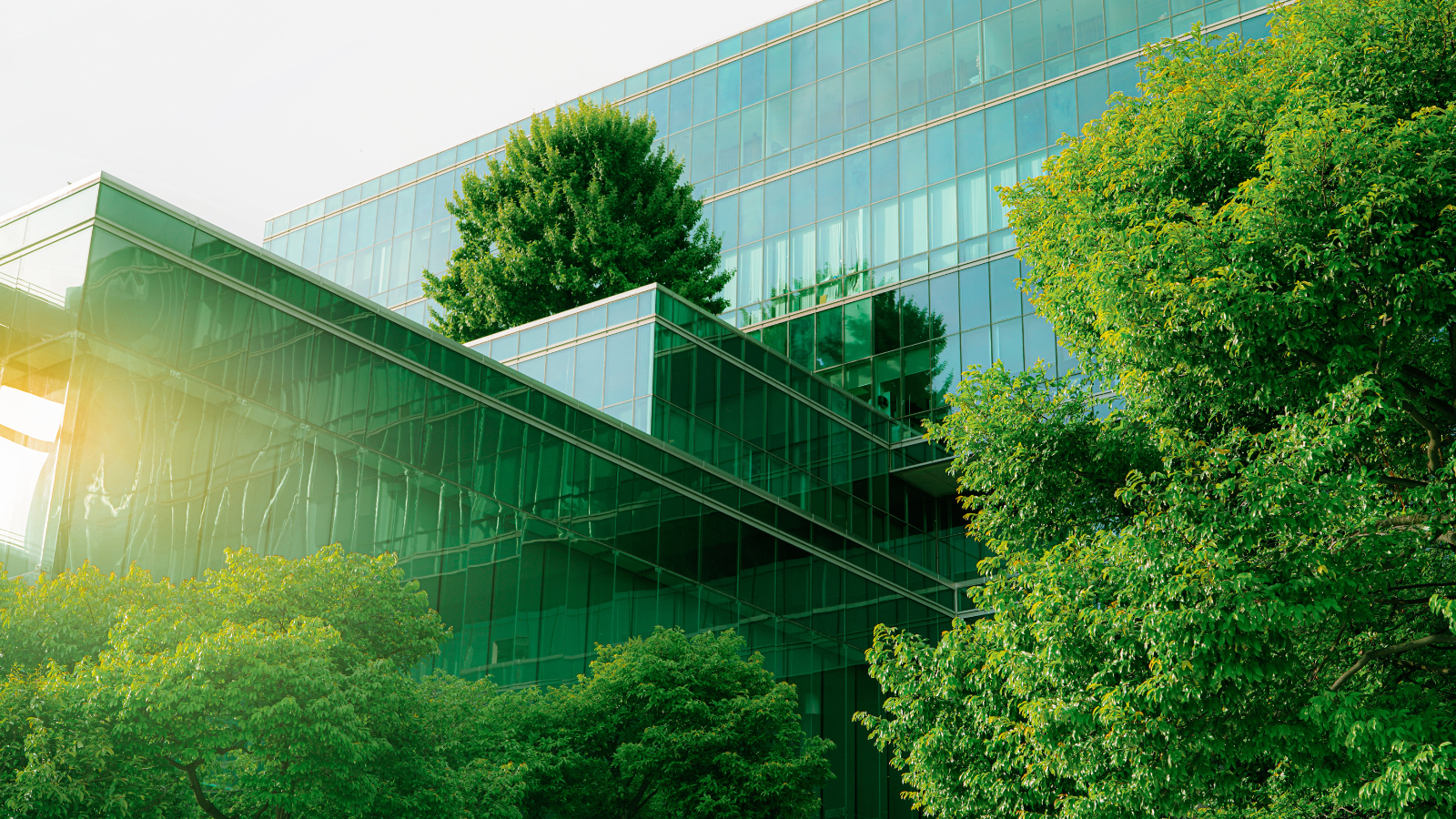 Why ESG Sustainability Isn't Optional: The Business Case for Going Green